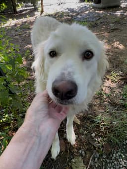 Sasha image 2