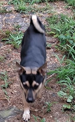 Bernie image 3