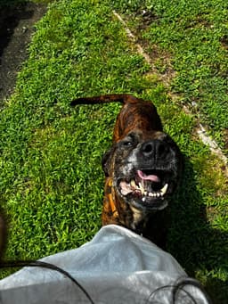 Molly image 2