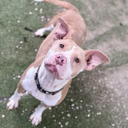 Baby Girl image 1