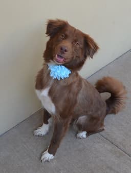 Lola image 1