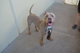 Twix image 1