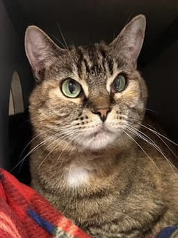 Sasha image 1