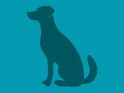 Boy image 1