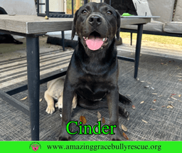 Cinder image 2