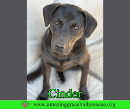 Cinder image 1