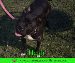 Heidi image 1