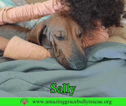 Sally image 3