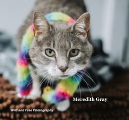Meredith Gray image 1