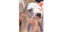 Cody Ga image 1