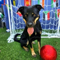 Carmelita image 1