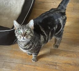 Zoe image 1