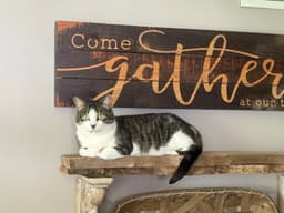 Betty image 1