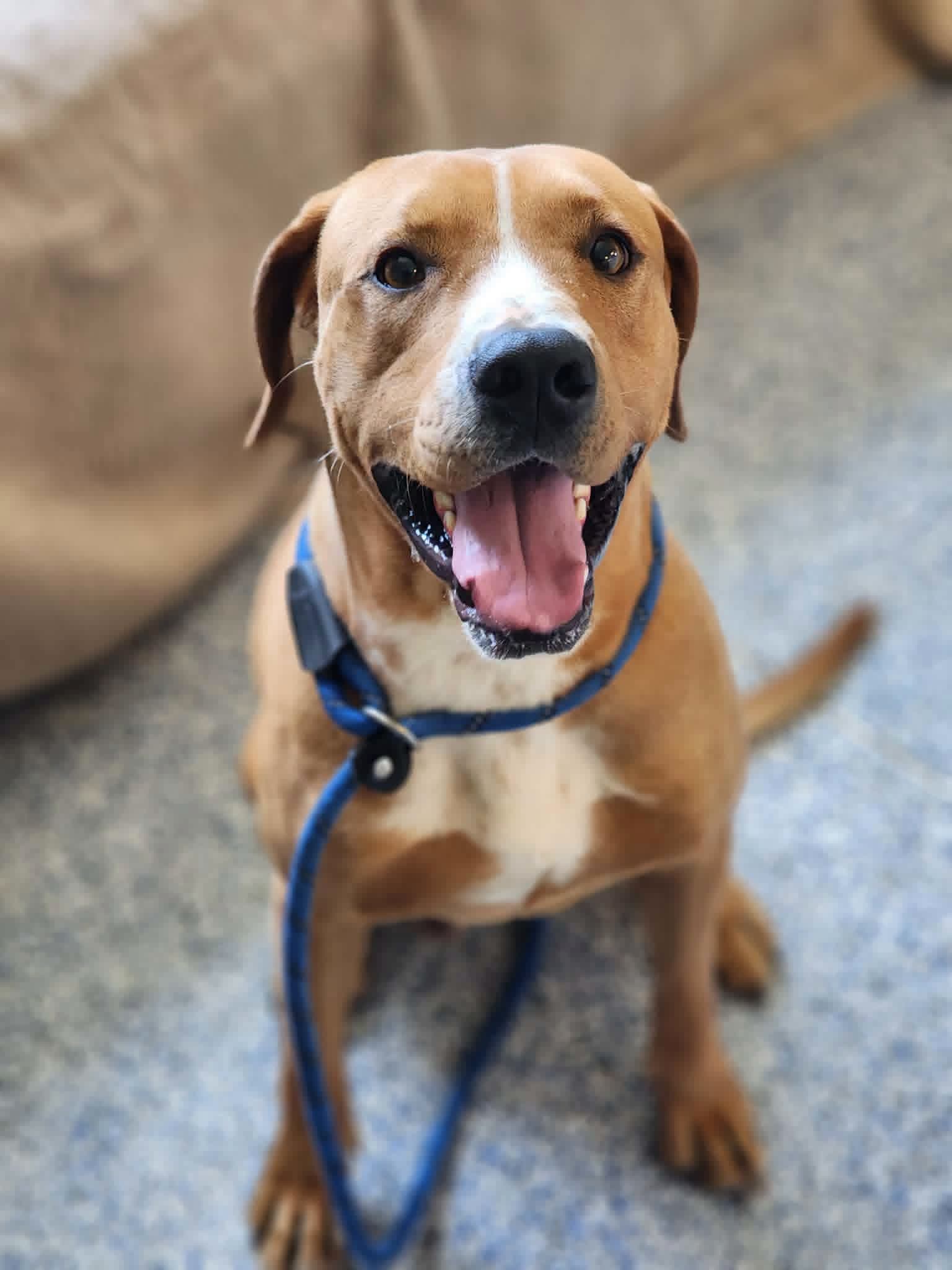 Tucker