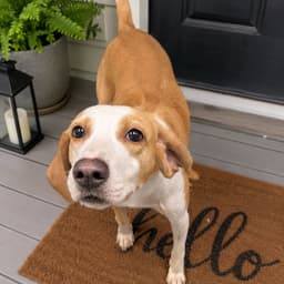 Nina image 1