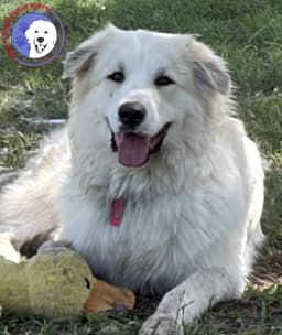 Ryker image 2
