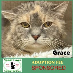 Grace image 1