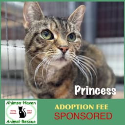 Princess image 1