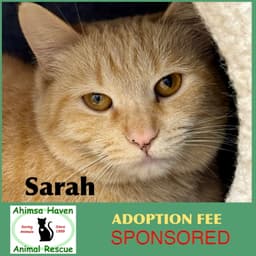 Sarah image 1