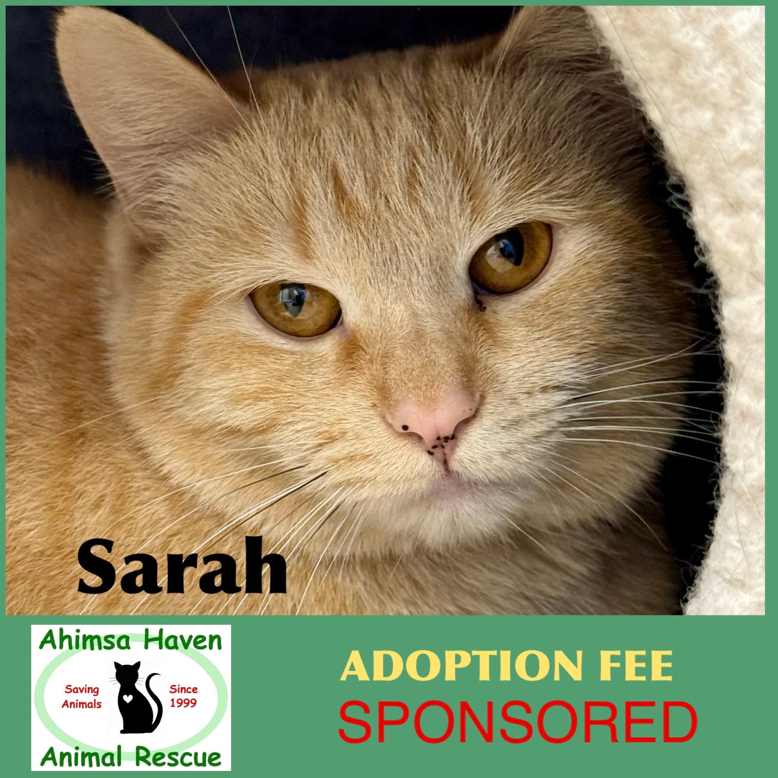 Sarah
