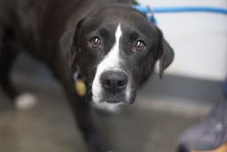 Kaylie image 1