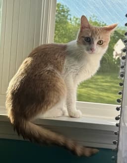 Gabby image 2