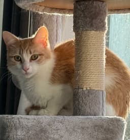 Gabby image 3