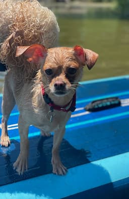 Chata image 3