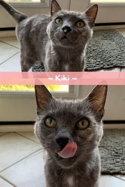 Kiki image 1