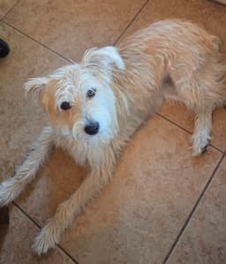 Frannie image 3