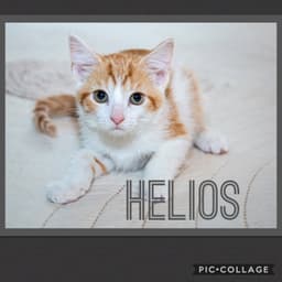 Helios image 1