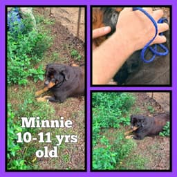 Minnie image 1