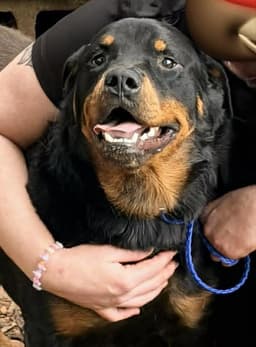 Bubba image 1