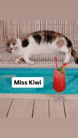 Miss Kiwi At Martinez Pet Food Express June Th image 1