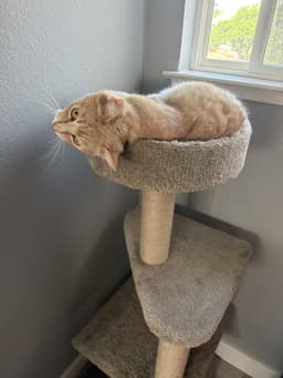 Casey image 3
