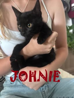 Johnie image 1
