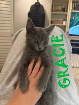 Grayson image 1