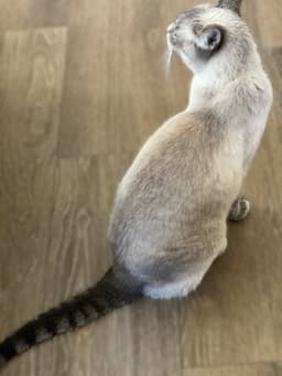 Gabby image 3