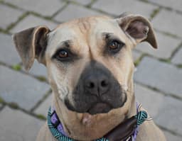 Skylar image 4