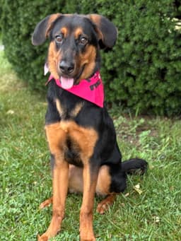 Nina image 1