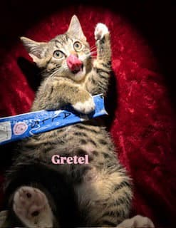 Gretel image 1
