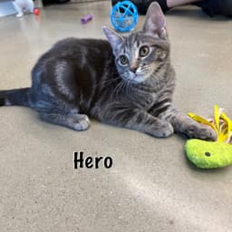 Hero image 2