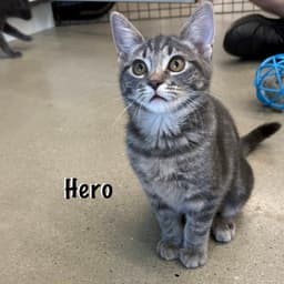 Hero image 3