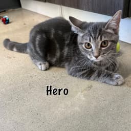 Hero image 4