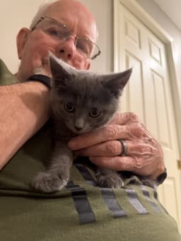 Darlene Mitchell Playful And Loving Kitten image 2