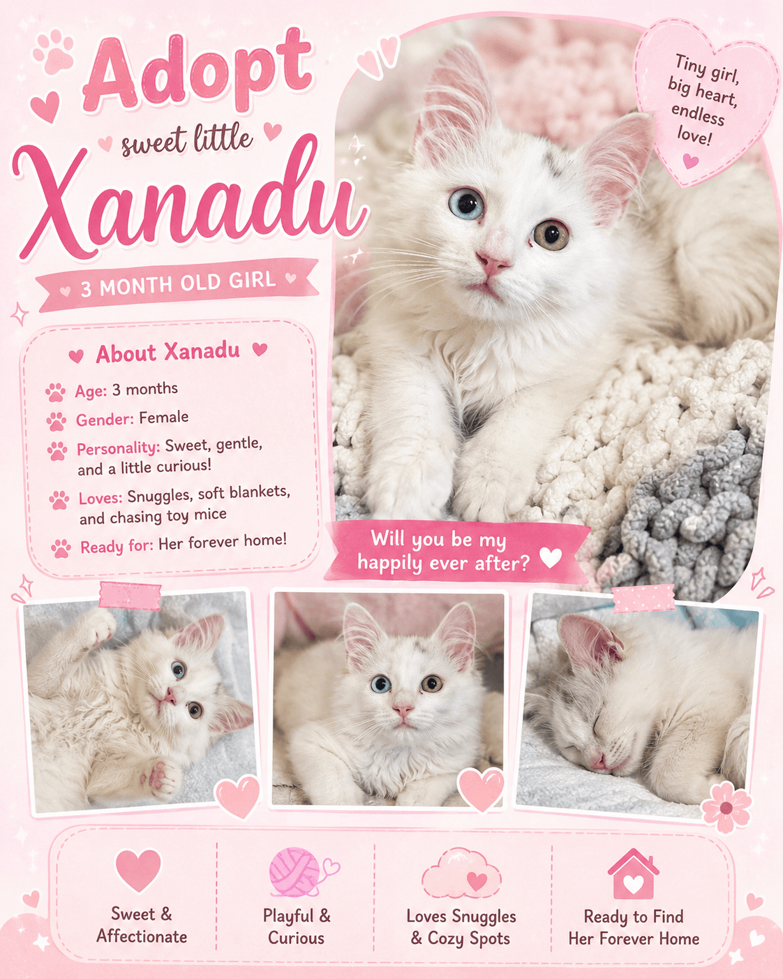 Xanadu - Domestic Medium Hair