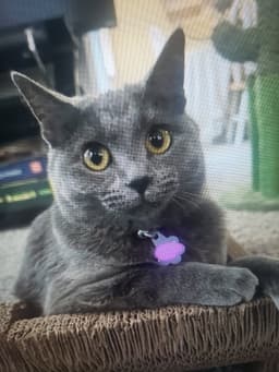 Cinder image 1