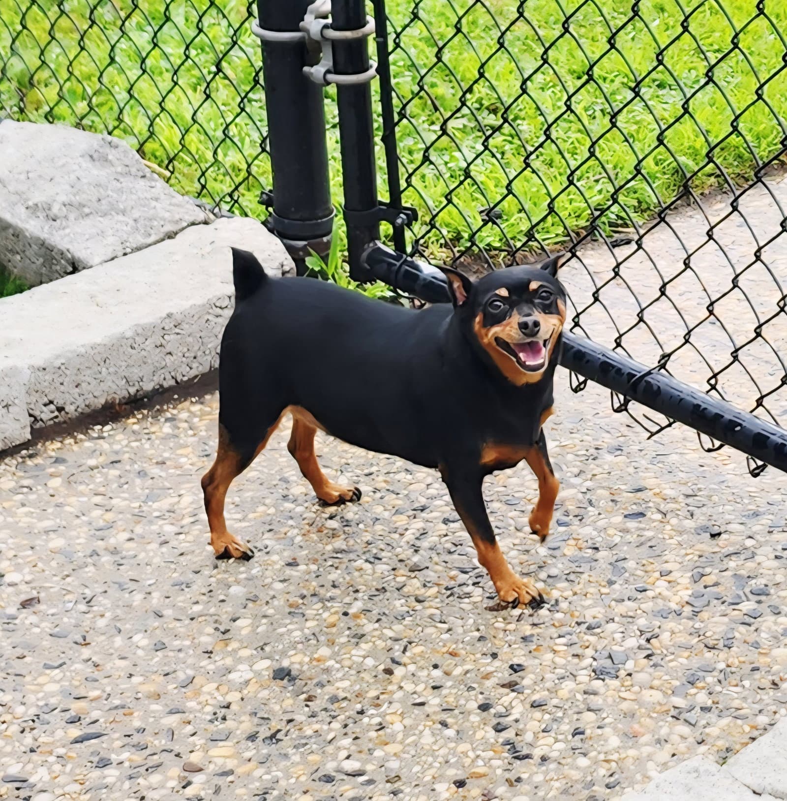 Poka