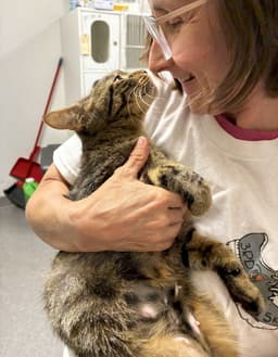 Kitty Soprano - Available image 2