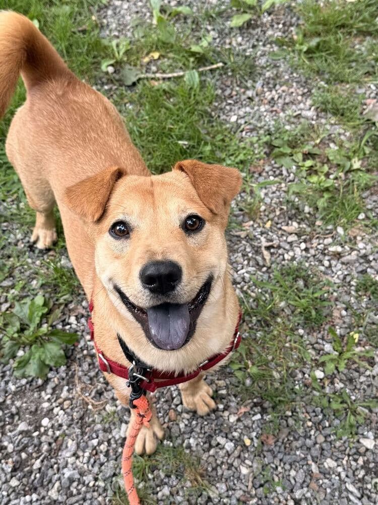 Jazzy Available - Unknown